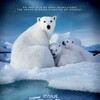 To the Arctic 2013 Complete IMAX 3D Bluray thumb