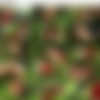 Kinkycore session 589 thumbnail