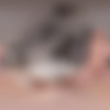 [18VR.com] Alexa Flexy - Flexyble Flirt [11.11.2024, Babe, Blonde, Blowjob, Cowgirl, Cum On Body, Doggy Style, Missionary, Reverse Cowgirl, Tattoo, Titty Fuck, Virtual Reality, SideBySide, 8K, 4096p, SiteRip] [Oculus Rift / Quest 2 / Vive] thumb