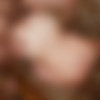2025-02-27    [Amateur, Oral Sex, MILF] [900*768 - 2288*1712, 142 ] thumb