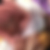 Akari Nonoka, Amami Mea, Kisaragi Riisa, Wakatsuki Moa / Natural High 25th Anniversary Edition Halloween Shame Sensitive Nipple Play Ver. [NHDTB-972] (KANSUKE, Natural High) [cen] [2024 ., Cosplay, Creampie, Humiliation, Squirting, Breasts, HDRip] [1080p] thumb