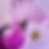 [ManyVids.com \ OnlyFans.com] AutumnVonDoe (aka AutumnDoe) - 19  (Pack) [2014-2020, Solo, Blowjob, Toys, Masturbation, Cosplay, Pet Play, Animal Play, SD, 720p, 1080p] thumb