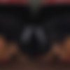 [RealityLovers.com] Helina Dream - Experience Euphoria with Helina Dream in the Black BoXXX [30.10.2024, Blowjob, Brunette, Cowgirl, Cumshot, Doggy, Fingering, Hardcore, Insertions, Lingerie, Masturbation, Missionary, POV, Toys, Virtual Reality, SideBySide, 8K, 3840p, SiteRip] [Oculus Rift / Quest 2 / Vive] thumb