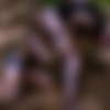 [Domthenation.com] Full SiteRip (27) [2019-2021, Hardcore, Anal, Blowjob, BDSM, Dildo, Strapon, Teen, Natural Tits, Pet Play, Bondage, Face Fucking, Rimming, Gagging, Piss Drinking, Rough Sex, 1080p] thumb