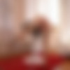 [HandsOnHardcore.com / DDFNetwork.com / PornWorld.com] Stacy Bloom - Milf's Anal Fantasy 4K [2020-08-18, lingerie, ass licking, natural medium tits, masturbation, hardcore, anal, ass to mouth, tattoo, cum in mouth, 2160p, HDRip] thumb