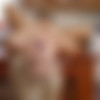 [FitnessRooms.com] Baby Nicols, Gina Gerson, Lovita Fate - Threesome with GF caught in the act [2019-06-20, Lesbian, 1080p] thumb