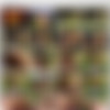 [Vikingsofporn.com/Momswithboys.com] (Granny With Huge Ass Gets Boy Hard / 19545559) [2014 ., ll Sex, Mature,Oral classic sex Blowjob,Cum On Face] thumbnail