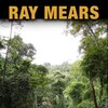 Ray Mears Bushcraft S02 288p XviD Mp3 thumb