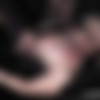 [Cumdrinkingwife.com / Gangbang-Wife.com] Slutwife Marion (Breeding Gangbang In The Basement / 434 / 12-12-2019) [Amateur, Gangbang, Group Sex, Oral Sex, Cumshots, Facial, 720p, SiteRip] thumbnail