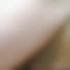 Nadia Nyce rodneymoore.com siterip thumbnail