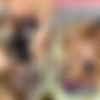 In Fondo al Secondo Canale (Cento X Cento [CXD570]) [2009 ., All sex, Amateur, Oral, Anal, DP, DVDRip] thumb