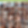 [EvilAngel] Interracial Is The New Black 1080p thumb