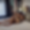 [TeenFidelity] Aubrey Babcock - Amazing Aubry #634 [1080p] (2024-07-30) thumb