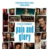 Pain and Glory 2019 FRENCH 720p BluRay x264-Ulysse thumb