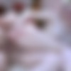 [FERRONETWORK.com / ActionMatures.com]      / Amelia B, Claudius / g705 (1/09/2012) [2012 ., All sex, BBW, Fat, Oral, Kunilingus, Facesitting, Mature, SiteRip, 720p] thumb