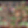 Naudia Nyce Megapack thumb