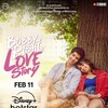 Bobby Aur Rishi Ki Love Story 2025 1080p HS WEB-DL DDP5 1 H 264-SARVO thumb