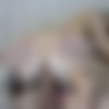 [chaturbate.com] Raspberr 2020-12-30 [2020 ., Masturbation,Anal,All Sex, 720p, WEB-DL] thumb