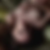 [PlayboyPlus.com] 2019 Yana West - Shadow Seduction 23.07.19 [Erotic] [1080p] thumb