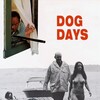 Dog Days [1970] / H264 / MKV / Blu-ray / 720p / AC3 / Swedish / Subs / TAPPAD thumb