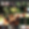 [BitchStop.com] Full SiteRip JAN 2018 - The Real European Hitchhikers thumbnail