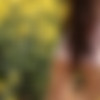 [Watch4Beauty.com] 2014-07-13 Paula Shy - Yellow Flower Field [ Erotic, 1080p] thumb