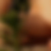 [AmourAngels.com] 