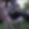 / Orgazm [WTFPASS.com, Teen, big natural breast all sex, Orgazm, 720p, HD] thumbnail