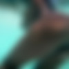 [Hegre-Art.com] 2016-11-15 Kiky - Pool Party [2016 ., Erotic, Posing, 1080p] thumb