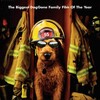 Firehouse Dog 2007 720p WEB H264-DiMEPiECE thumb