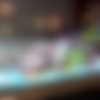 DiaperedOnline.com Update June 2024 thumbnail