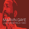 Marvin Gaye: Live at Montreux [1980] / H264 / MKV / DVD / SD / AC3 thumb