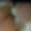 [OnlyFans] ruby_elizzzabeth - 7Jun21 Siterip- (148 Videos + 948 Photos) thumb