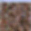 [LovelyTeenMovs.com] Ashlev 2 [2011 ., All Sex. Hardcore,Teen] thumbnail