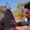 Walking With Elephants with Levison Wood S01 1080p HDTV x265-MVGroup thumb