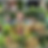 [CzechGardenParty.com / CzechAV.com] CZECH GARDEN PARTY 2 (2014 .) [Group Sex, Hardcore, Party, Orgy, Swingers, Amateurs, Outdoors] thumbnail
