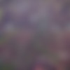 [hegre.com] 2018-11-20 Nuna Nude In India [Solo, Posing, 4k, 2160p, SiteRip] thumb