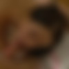 [DollsPorn.com / WTFPass.com] Norah (Awesome double penetration sex video / 16.02.14) [2014 ., blowjob, anal, tattoo, group, DP, brunette, 1080p] thumb