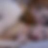 [Licksonic.com / Ferronetwork.com] Bertie A, Keith A (g792)[720p, SiteRip/2014 .,Ginger Hair,Brunette,Natural Tits,Small Tits,Medium Tits,Trimmed Pussy,Shaved Pussy,Stockings,Lesbians,Oral,Licking,69,Anilingus,Fingering] thumb