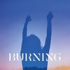 Burning [2018] / H265 / MKV / WEB / 1080p / AAC / Korean / Subs / BTS thumb