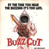 Buzz Cut [2021] / H264 / MKV / WEB / 1080p / AAC / Subs / BobDobbs thumb