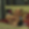 Slice of Heaven /   (Robby D, Digital Playground) [2012 ., Feature, 1080p, Blu-Ray] thumb