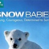 Snow Babies 2012 1080p WEBRip x264-CBFM thumb