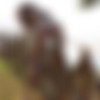 [photodromm.com] 2020-03-07 Teddy aka Teodora - In The Fence 2 [Erotic, Posing][1080p] thumb