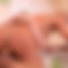 [HandsOnHardcore.com / DDFNetwork.com] Cherry Kiss (Backdoor Dessert: Stud Pounds College Students Tight Ass) [2017-03-29 ., Anal, Ass to mouth, Blonde, Deep throat, Hardcore, High Heels, Lingerie, Masturbation, Dress, Cum in Ass, Sucking, 1080p] thumb