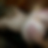 [PrivateSociety.com] Memel - Feeling The Need To Breed [2024-12-04, 1080p] thumb
