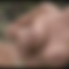 [PlayboyPlus.com] January-August 2010  (686 ) [Erotic, Solo, Nude, Posing, 720p, 1080p, SiteRip] thumb