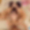[BaDoinkVR] Chanel Camryn, Liz Jordan, Gal Ritchie - Once & Four All (Oculus, Quest 2) [4K] thumb