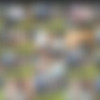 Pure-voyeur.com siterip thumbnail