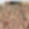 NewSensations.com Harley Shakes Her Ass For Dark Meat - Harley Jade - 1080p thumbnail